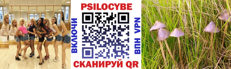 что такое наркотик  Татарск  Псилоцибиновые грибы Magic Shrooms 